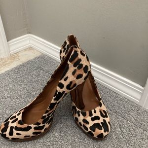 BCBG Leopard heels
